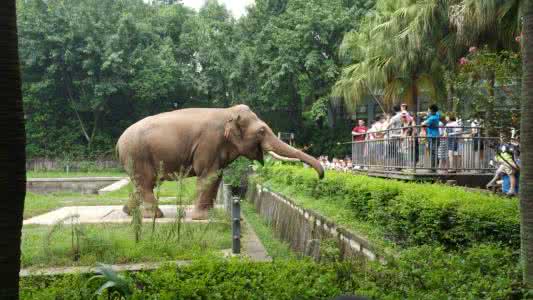 重庆各区必去的景点推荐,重庆的景点必游排名