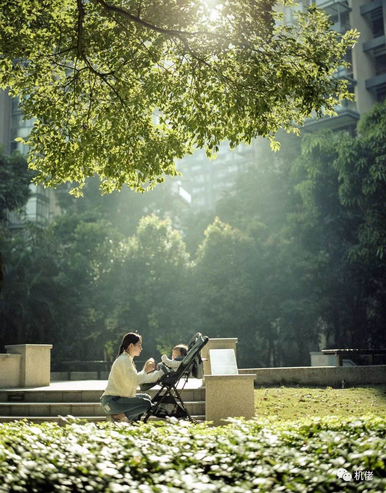 宾得风景照镜头推荐2019,宾得21mmf3.2拍人像