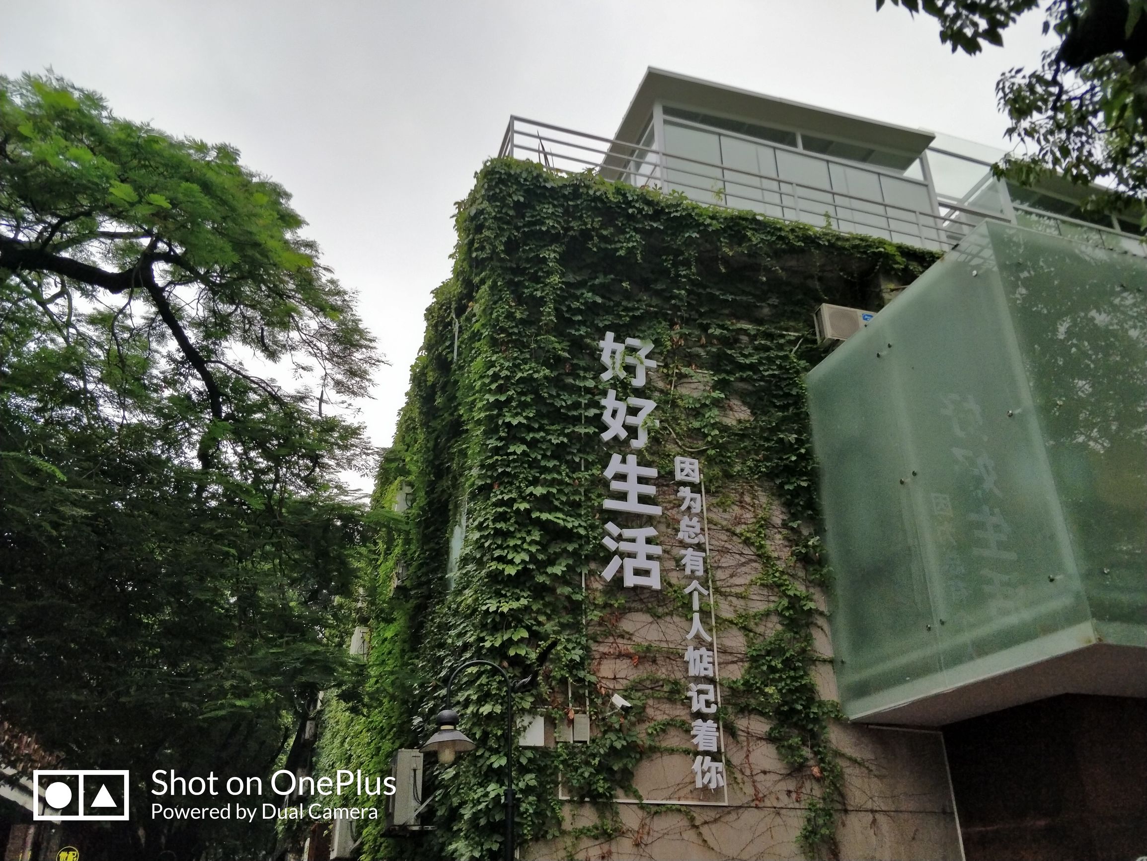 一加5手机评测国产机顶级旗舰,一加手机5评测科技美学