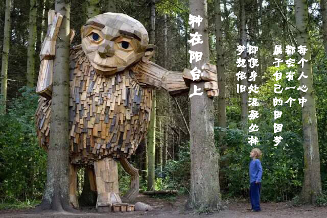 自家阳台上种的无公害绿叶菜,绿色蔬菜的种植方式是什么