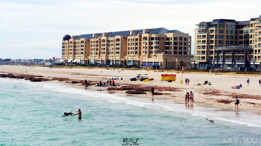 澳洲阿德莱德vs悉尼fc,阿德莱德对澳洲悉尼