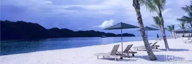 机票白菜价140元起全国各地出发,5月从沈阳出发的特价机票