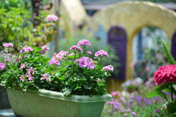 成都玛莉亚色彩花园,成都玛莉亚色彩花园电话