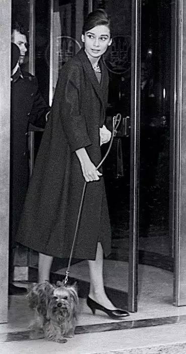 女性职场鞋有什么要求,女士职场鞋子