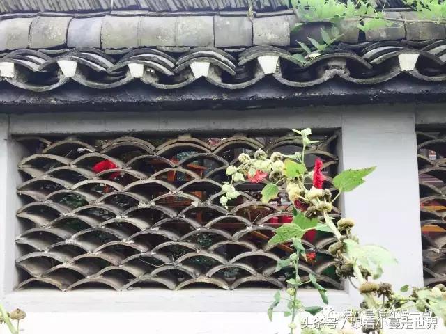 高淳去南京玩,高淳看荷花