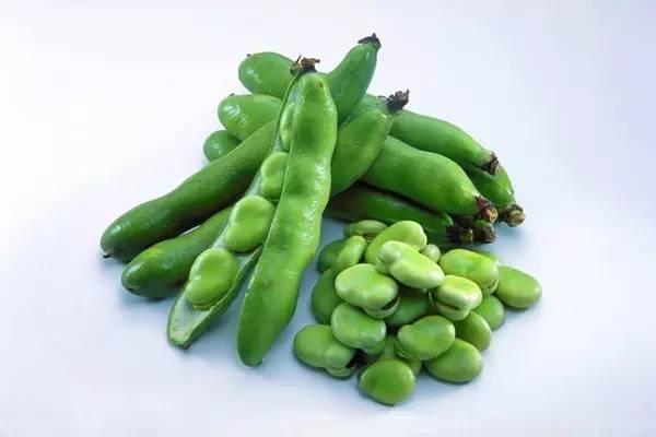 “清欢有味”之蚕豆