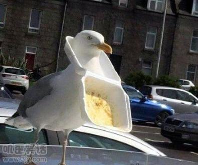 舔第二碗时，丈母娘拉我的手说：放这儿吧！等下我来洗