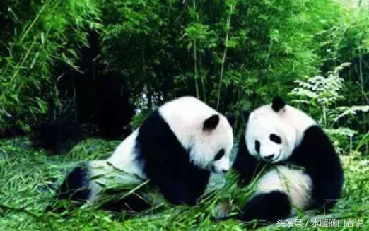 经商哪里人最靠谱,最会赚钱的人是哪里的人