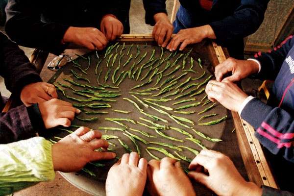 30种茶叶名字,比较受欢迎的茶叶种类详细介绍