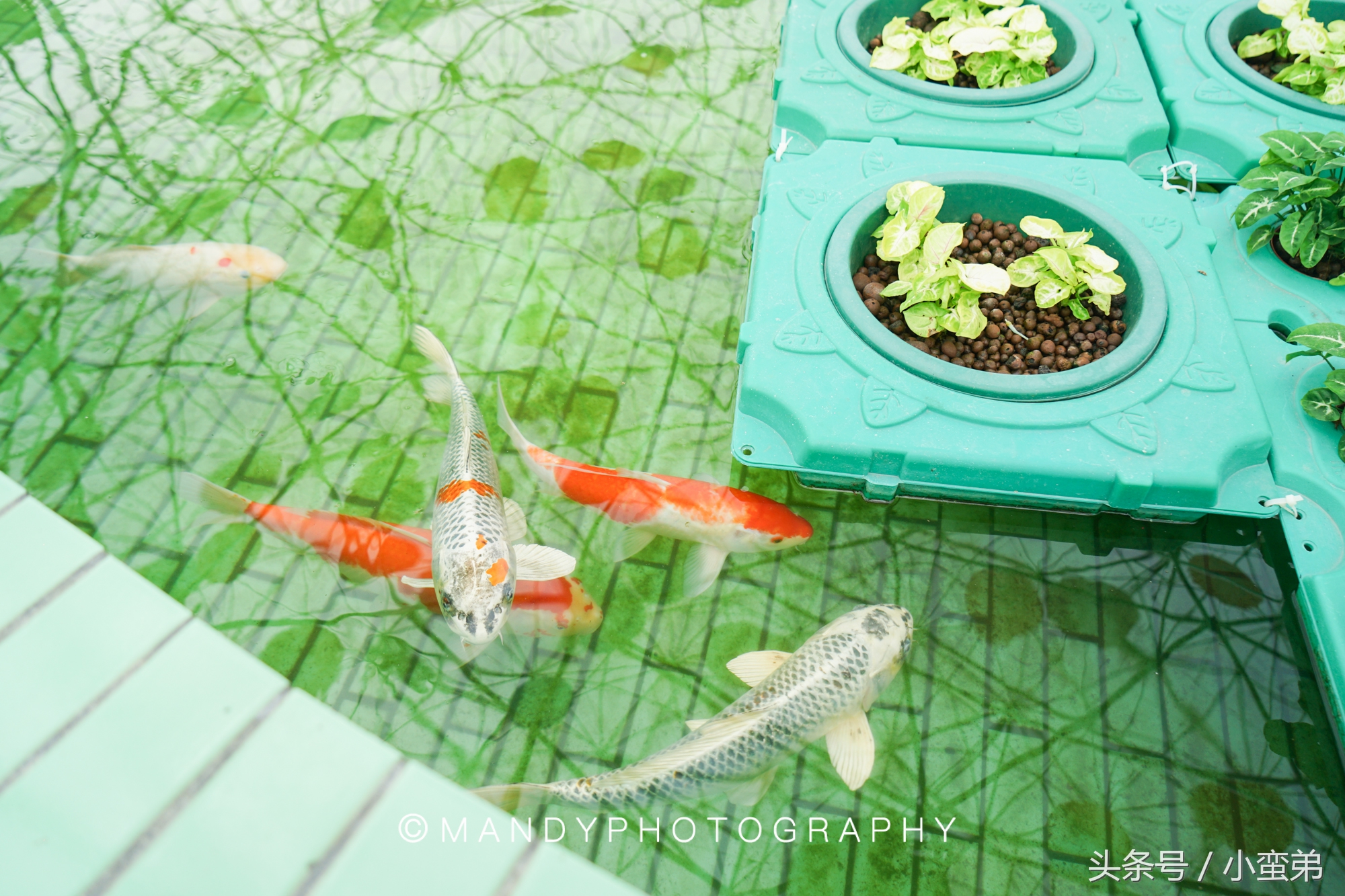 广州周边不为人知的宝藏景点,广州水上乐园旅游景点推荐