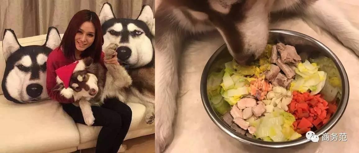 王思聪送王可可视频,王可可怎么遇到王思聪的