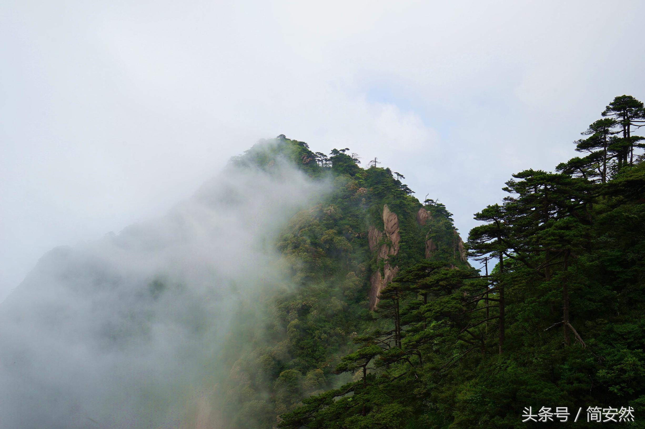 云雾缭绕人间仙境的三清山,云雾中的三清山如画般的仙境
