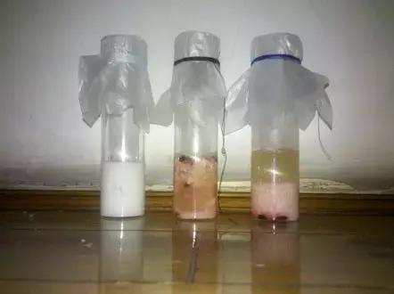 乳汁是由什么物质转化的,乳汁是怎么转换而来的