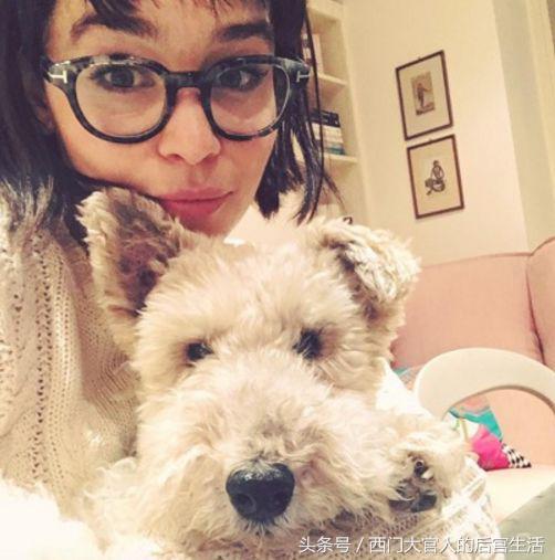 权力的游戏第七季完整视频,权力的游戏第七季在线观看