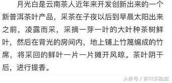 白茶的黄片怎么来的呢？看看大神如何解释！