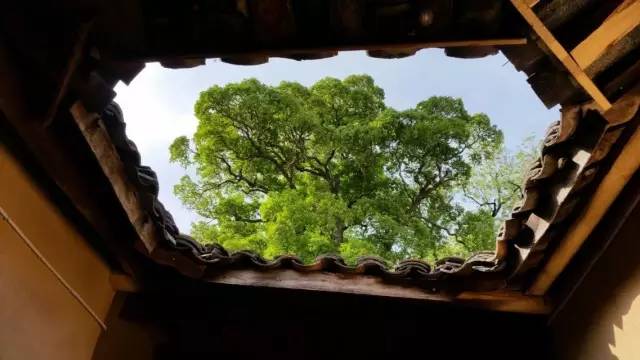 宜昌周边适合避暑的古镇,宜昌小众避暑景点