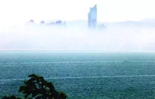 威海雪后现绝美冬景,威海最漂亮的雾