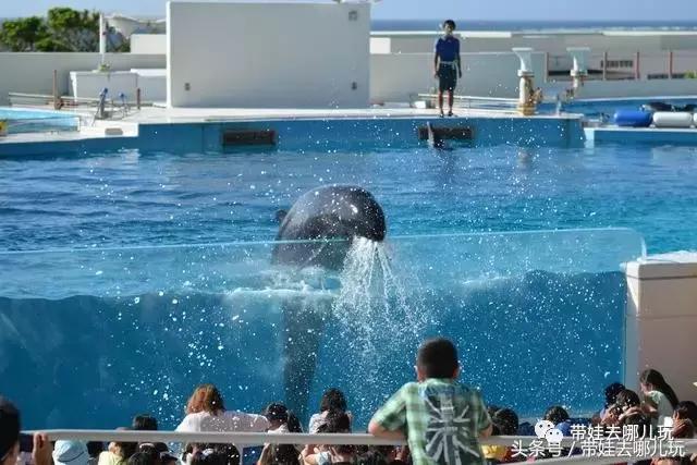 冲绳亲子游最强攻略,冲绳带娃旅游攻略