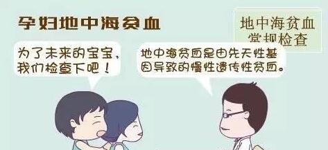 什么叫地中海贫血原因,地中海贫血为什么不是必检项
