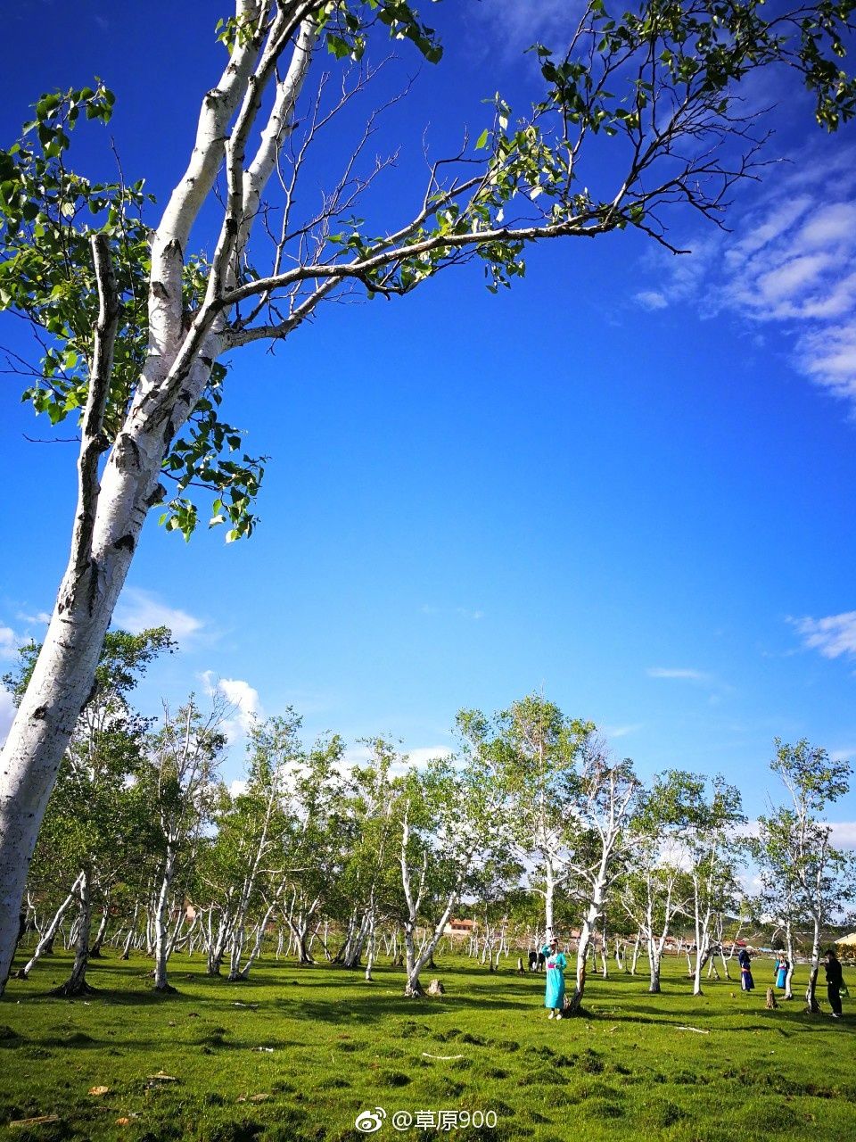 锡林郭勒草原星空,天堂草原锡林郭勒
