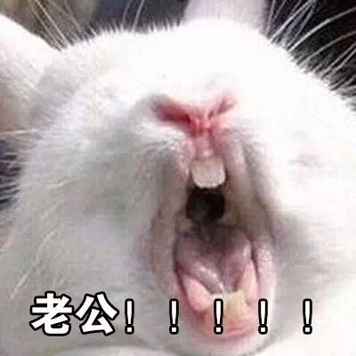 表情包：喊老公专用表情包，微信QQ聊天专用，给女生的福利哦