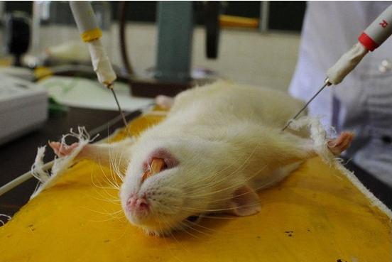 治愈糖尿病的最新突破视频,治愈糖尿病的最新突破