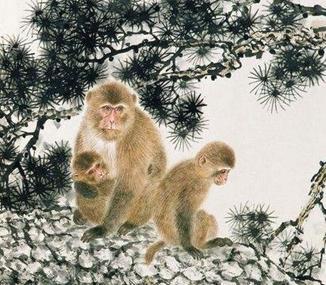 这三个生肖定能迎来富贵的生活,这三大生肖晚年衣食无忧福多寿长