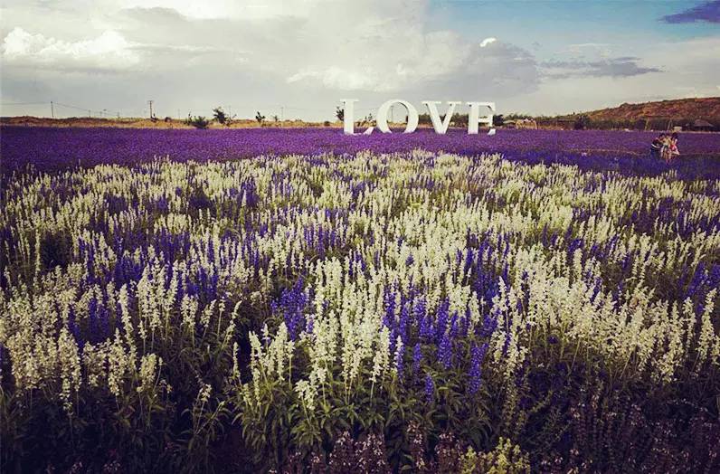 宁夏帅哥排行榜,宁夏十大帅哥网红