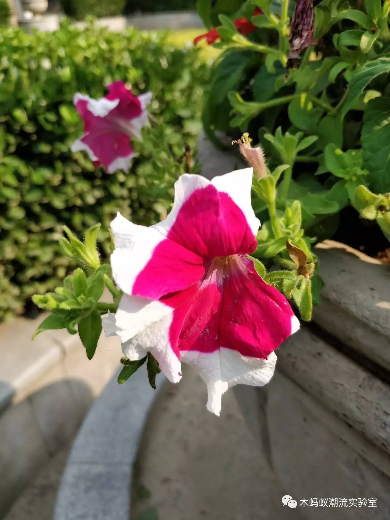 一加5评测拍照,一加5详细解析