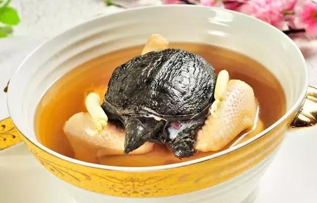 洪洞大槐树民歌问我祖先在何处,问祖先何处来山西洪洞大槐树歌曲