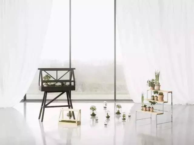 新手如何开一家网上花店,传统花店如何投入线上运营