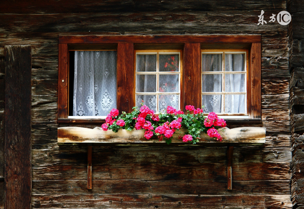 currentvalue和cost有什么区别,spend和paid和cost的区别