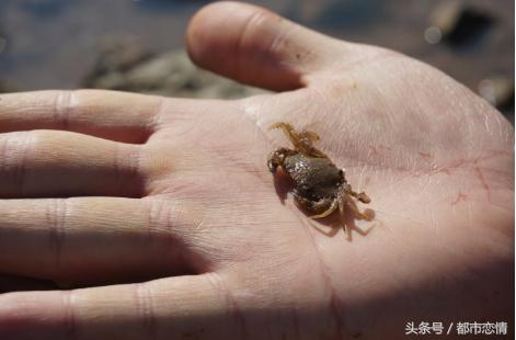 男朋友老说我眼睛小没有女人味，今天画双大眼给他看