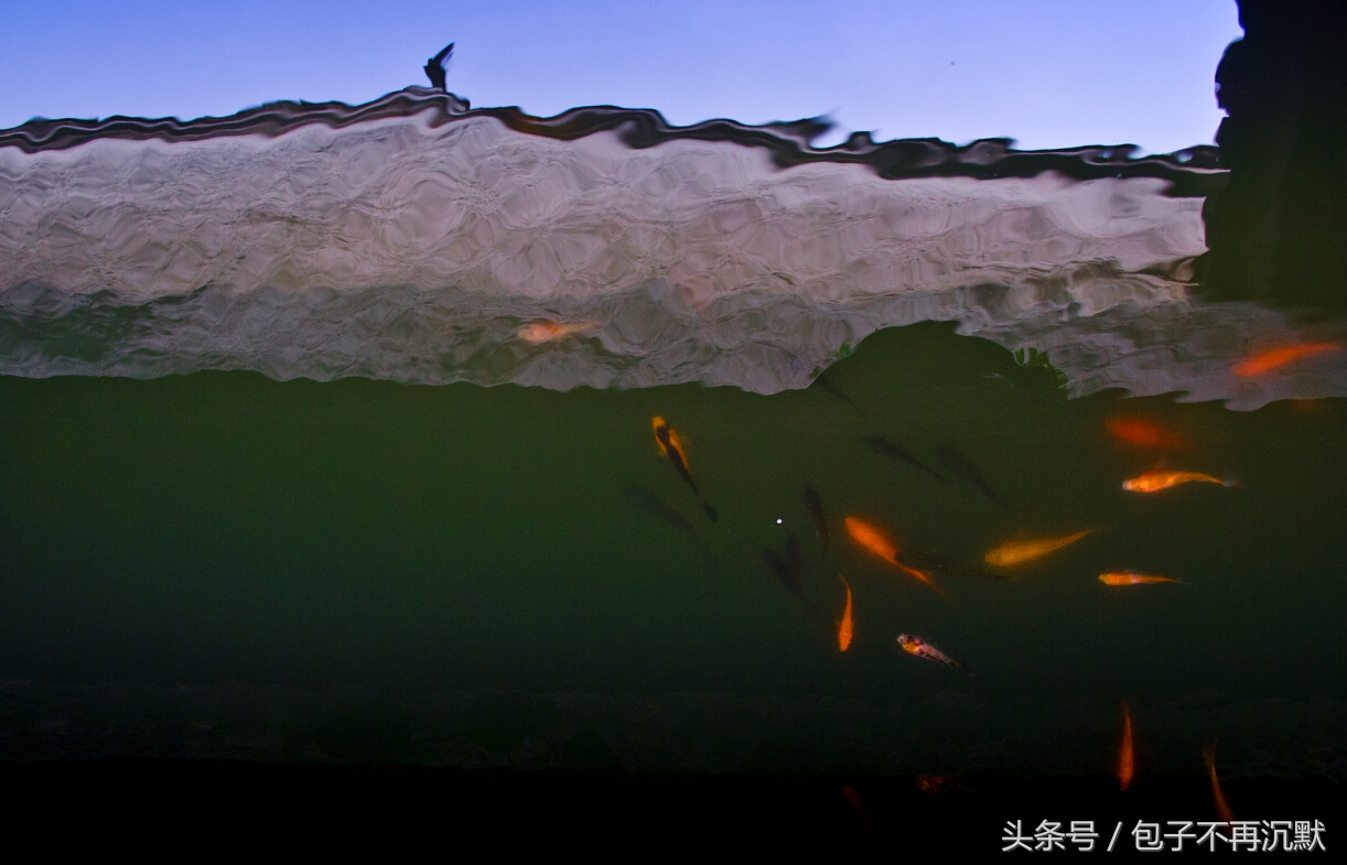 湖州旅游攻略自由行三天三夜,杭州苏州南浔四天三晚旅游攻略