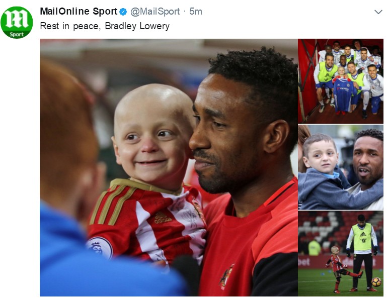 小布拉德利视频,小布拉德利最后的话