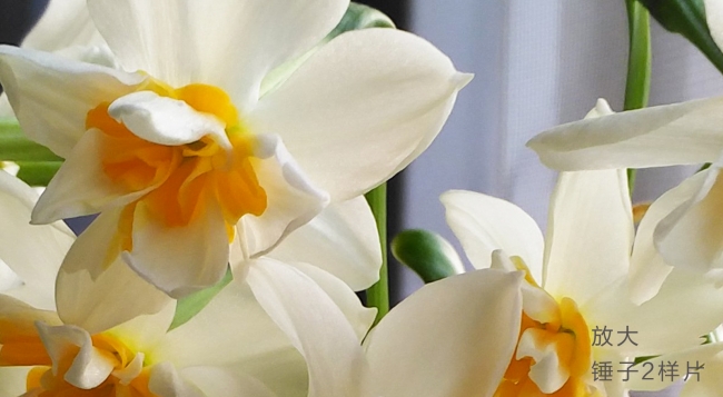 锤子smartisan坚果pro手机评测,锤子手机smartisant2