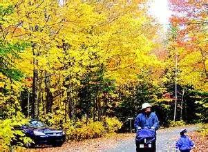 100万在世界各地能买什么样房子,100万能在世界各地买到怎样的房子