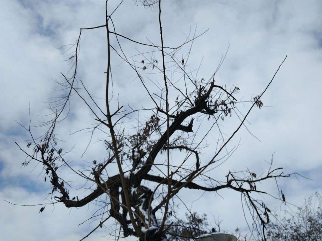 奇酷360旗舰极客版,奇酷旗舰极客版价格