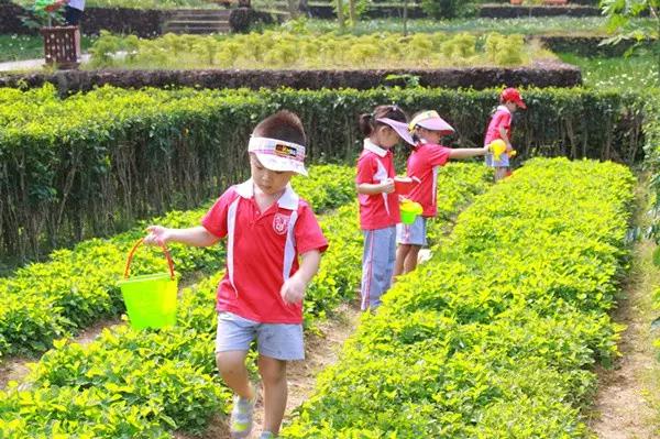 亚龙湾红树林酒店室内玩乐,亚龙湾红树林酒店潜水体验