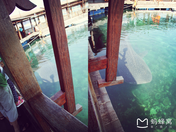 一起去三亚旅游就是最好的陪伴,三亚攻略自由行情侣