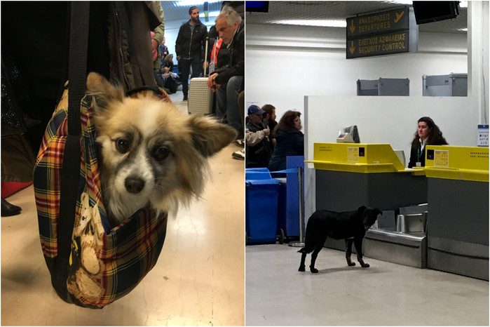 远离城市的喧嚣在静谧的时光里,远离城市的喧嚣静静的感受海浪