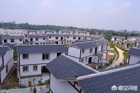 中国农民富豪都是靠什么发家的,农村有钱人是怎么富起来的