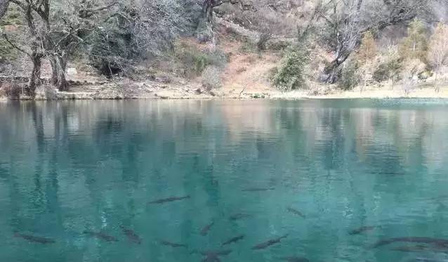 记者暗访云南低价旅游团,掌上乌鲁木齐