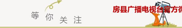 这对房县夫妇跟“大队长”合作大项目等着赚大钱，结果你猜怎样？