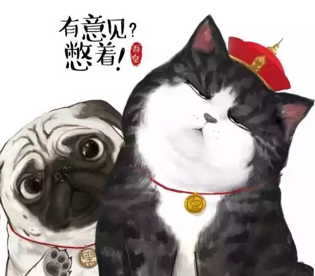 盘点十大网红萌宠,盘点全网6只网红萌宠