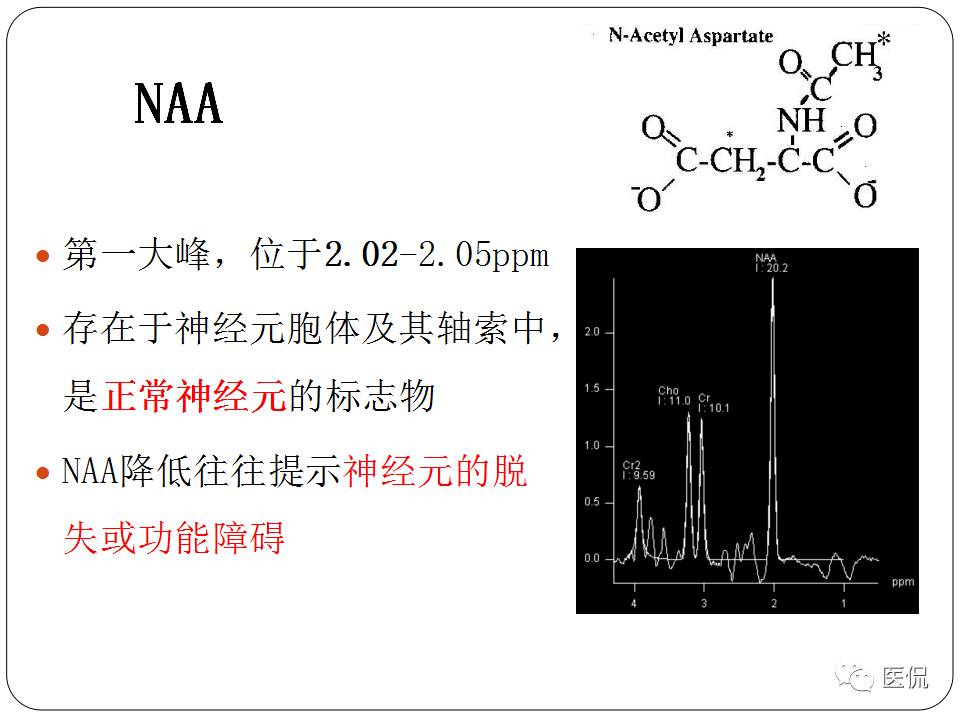神经系统解剖ppt课件,神经内科课件ppt