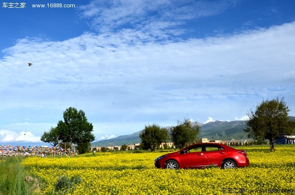 卡罗拉2017手动试驾第一视角,2022款丰田卡罗拉使用感受