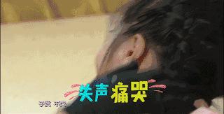 疯狂的麦咭长江黄河,疯狂的麦咭第五季苏青