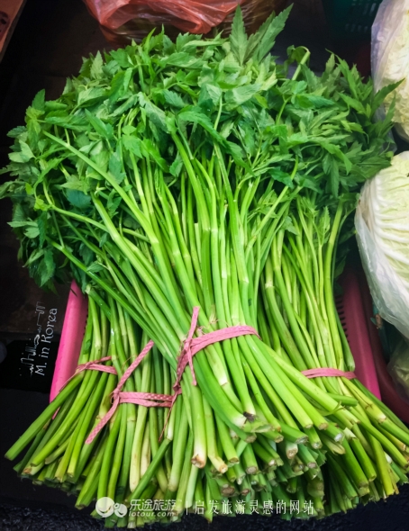 跟着RM探寻济州东门市场