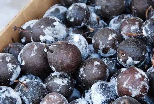 哈尔滨旅游带什么特产给朋友,来哈尔滨带回去什么礼物比较好